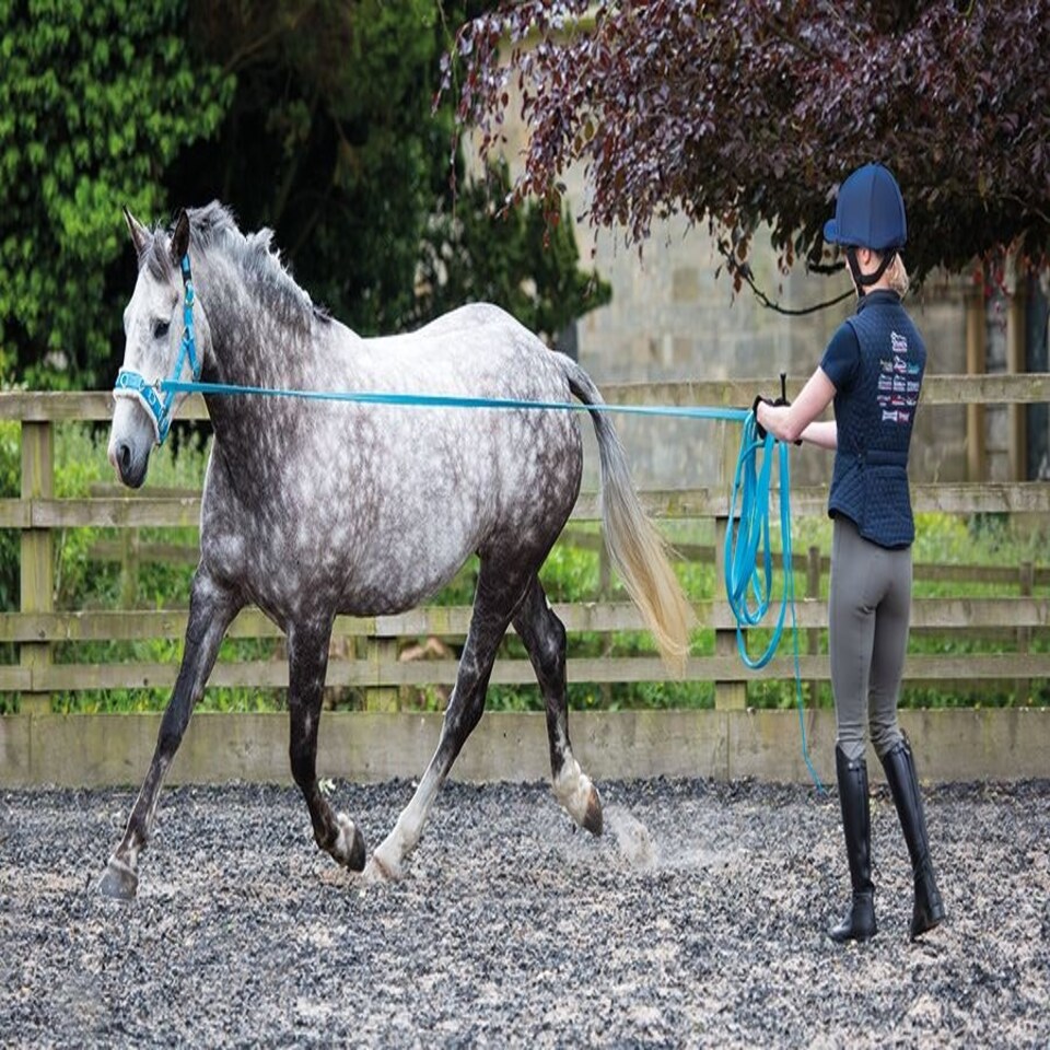 image 1 of Shires Fleece Lined Lunge Cavesson Blue | Size: Cob
Colour: Navy Blue