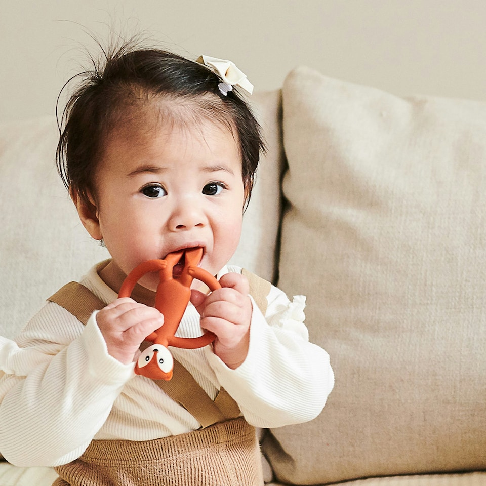 image 1 of Matchstick Monkey Animal Teether Fudge Fox