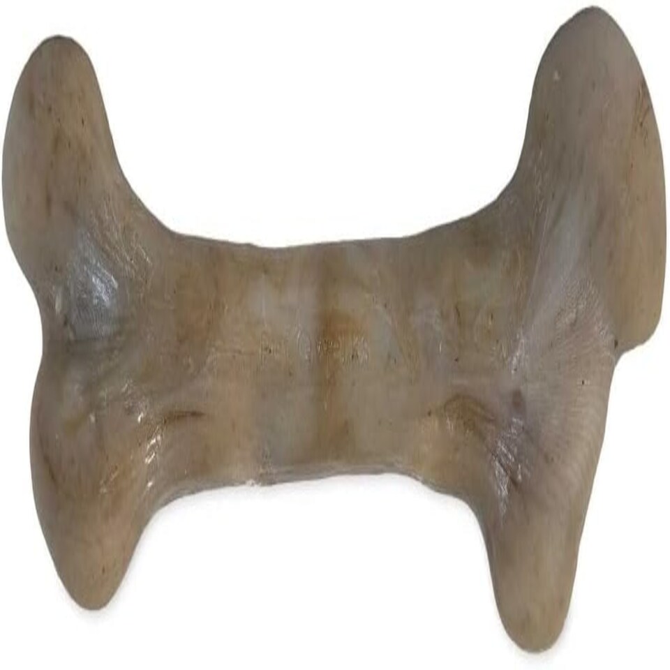 image 1 of Pet Qwerks Dinosaur BarkBone - Nylon Dog Bone for Aggressive Chewers - Bacon Flavor - 6.5"