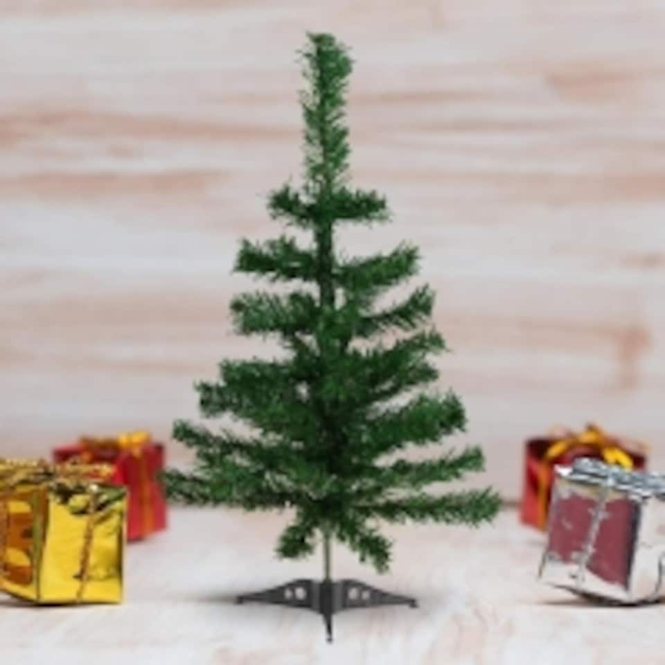 image 1 of 2Ft Canadian Pine Green 80Tips