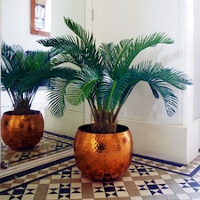 Large Artificial Palm Tree 80cm Cycas Realistic Plant Leaf Design UK Botanik | Green | 2ft