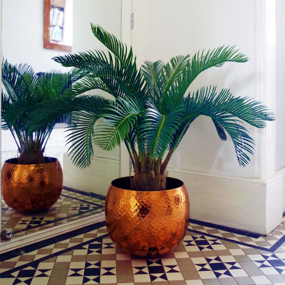 image 1 of Large Artificial Palm Tree 80cm Cycas Realistic Plant Leaf Design UK Botanik | Green | 2ft