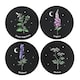 image 1 of MidOcean Poisonous Plants Coaster Set - Black - One Size