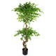 image 2 of 150cm Twisted Trunk Artificial Japanese Fruticosa Style Ficus Tree | Green | One Size