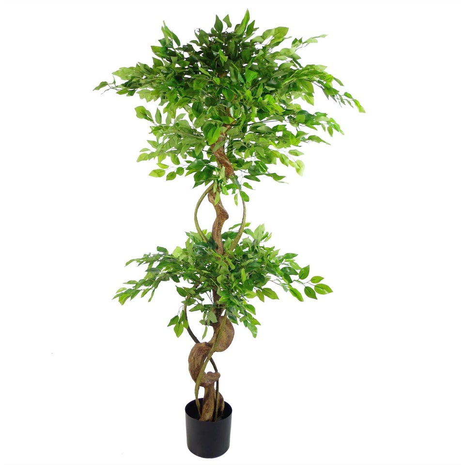 image 1 of 150cm Twisted Trunk Artificial Japanese Fruticosa Style Ficus Tree | Green | One Size
