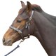image 1 of Hy Leather Foal Head Collar - Black - X Large