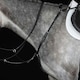 image 2 of Collegiate Hunter Breast Plate IV - Black - Cob