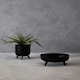 image 5 of Interiors by Premier Elegant Design Black Planter, Durable Construction Of Garden Pot, Portable Lightweight Outdoor Garden Pot Black