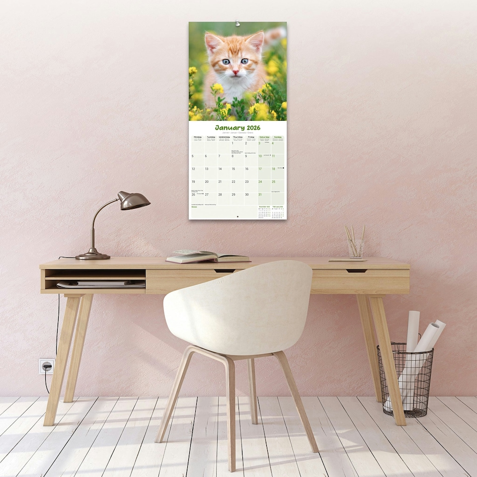 image 1 of Kittens 2026 Calendar | Square Wall Calendar | Cat Gift | Plastic Free Packaging | by Avonside Publishing