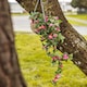 image 5 of Marco Paul Artificial Faux Floral Hanging Basket