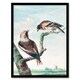 image 1 of Aert Schouman Framed Wall Art Two Hawfinch Birds in Rural Landscape Home Décor