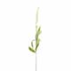 image 1 of Veronica Stem Artificial Plant - Plastic - L17 x W17 x H76 cm - White