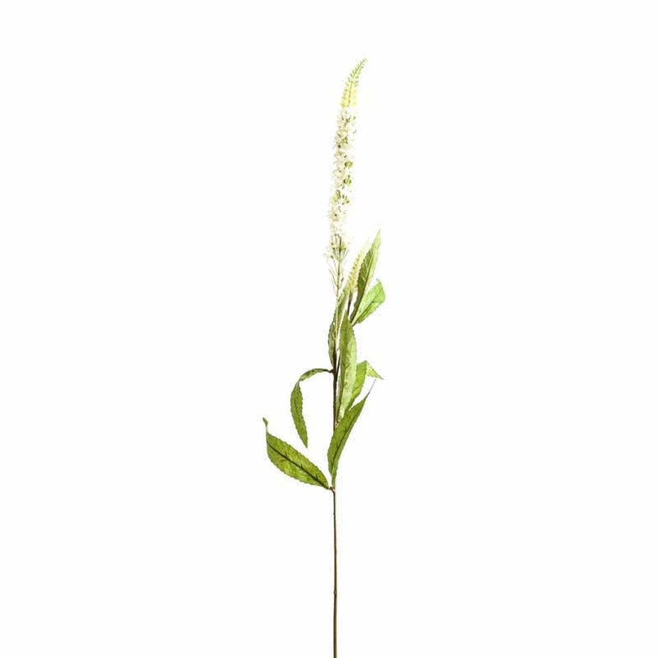 image 1 of Veronica Stem Artificial Plant - Plastic - L17 x W17 x H76 cm - White