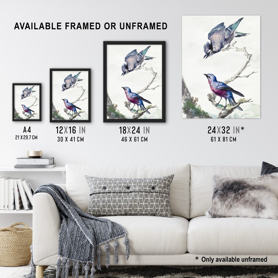 image 1 of Blue Jay and a Purple Breasted Cotinga Schouman Wall Art Poster Print 24X32"