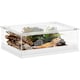 image 1 of PawHut Reptile Terrarium,Vivarium with Top Sliding Door, 360 degree Acrylic Reptile Tank Breeding Box with Vents, for Snake, Frog, Spider, Gecko, Tarantula, Stick Insect, Praying Mantis | Clear