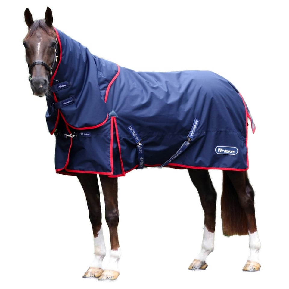 image 1 of Whitaker Rastrick V2 Fixed Neck Airflow Horse Turnout Rug - Navy - 5´ 6"