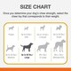 image 4 of Nylabone Dura Chew Extreme Tough Dog Chew Toy Bone, Allergen Free Peanut Butter Flavour, L, for Dogs Up to 23 kg