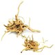 image 4 of Aqua One Azalea Root / Spider Wood Multi