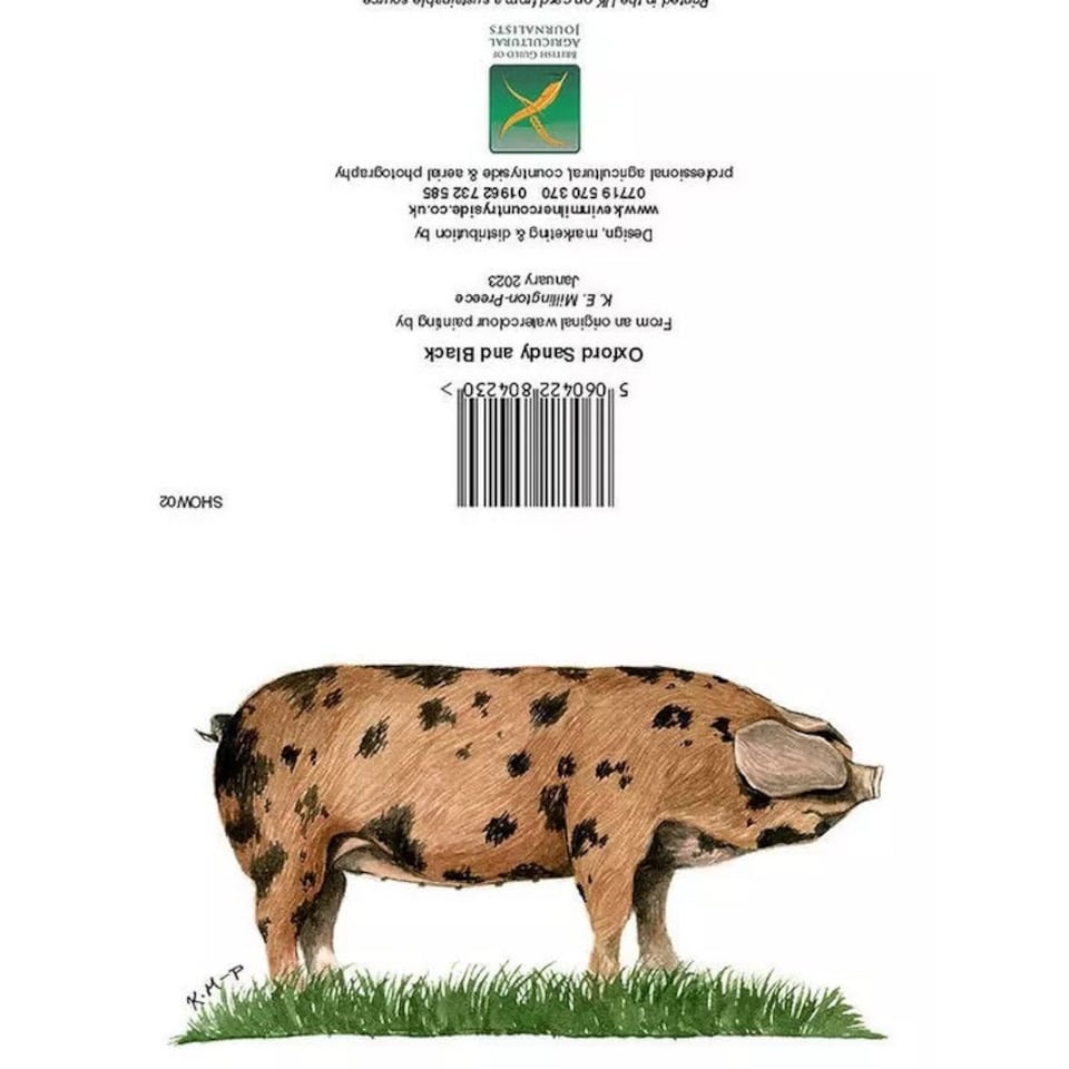 Kevin Milner Countryside Oxford Sandy and Black Greetings Card - Brown/Black/Green - One Size