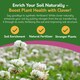 image 2 of Pronto Seed Clover Seed for Lawn UK - White Clover 500g - 50m2 Coverage