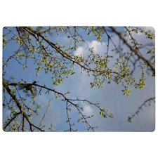 Tree Branches & Sky Rug Blue | S