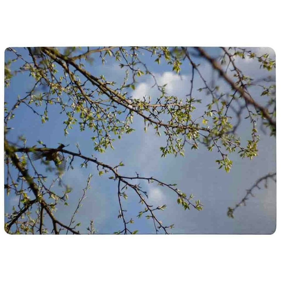 image 1 of Tree Branches & Sky Rug Blue | S