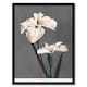 image 1 of Ogawa Kazumasa Framed Wall Art Print White Water Iris Flowers Home Décor