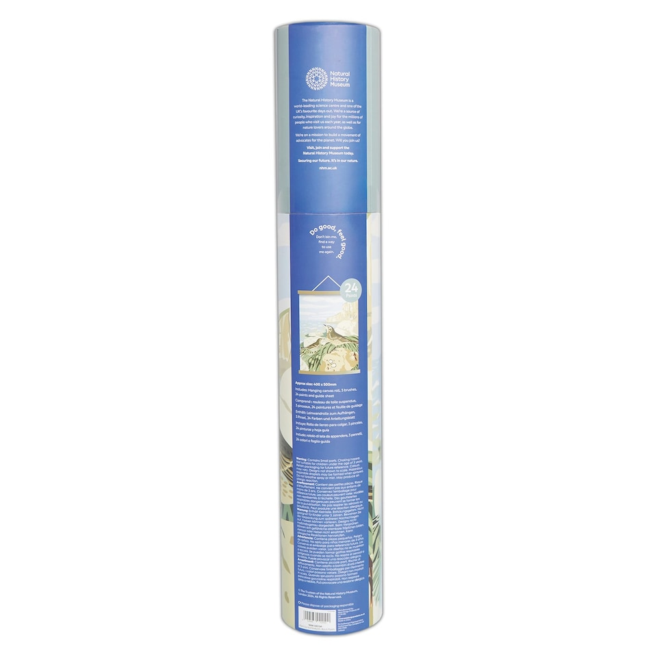 image 1 of Natural History Museum Paint By Numbers Rock Pipits Hanging Kit