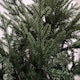 image 5 of 8ft 240cm Green Glenshee Spruce Artificial Christmas Tree PE and PVC Mix Natural Look