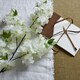 image 1 of Large Full Cherry Blossom Stem - Plastic - L6 x W8 x H100 cm - White