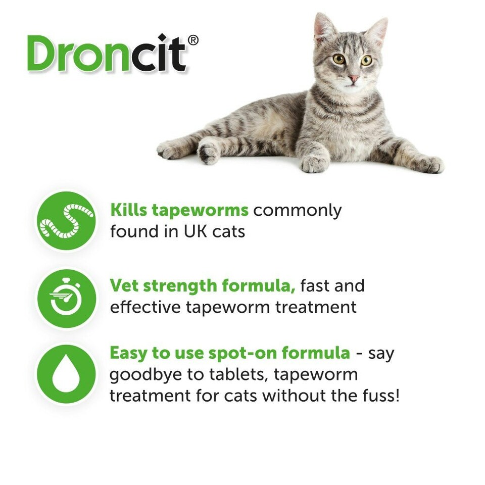 image 1 of Droncit Spot-On Tapewormer for Cats (from 1kg), 4 tubes