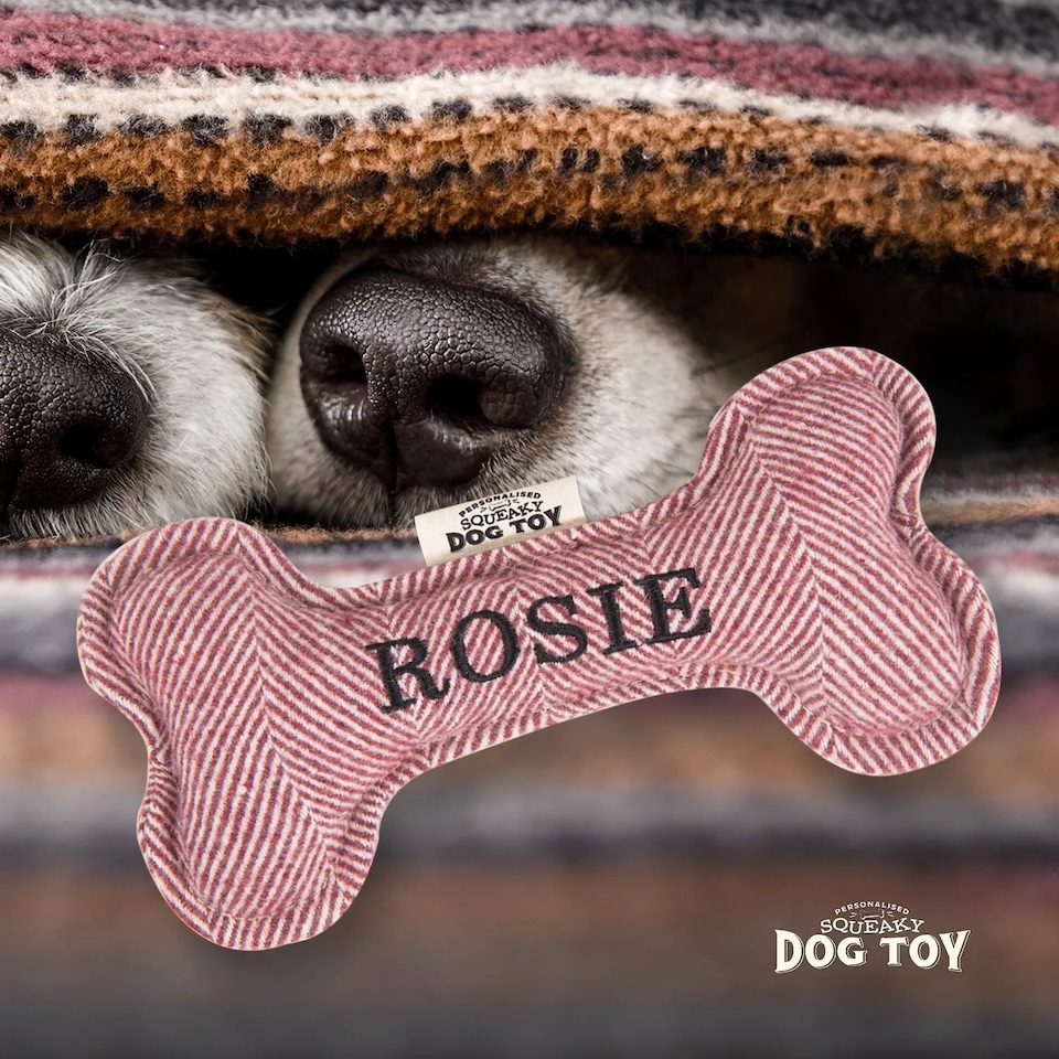 image 1 of History & Heraldry Pre-Personalised Squeaky Bone Dog Toy - Rosie