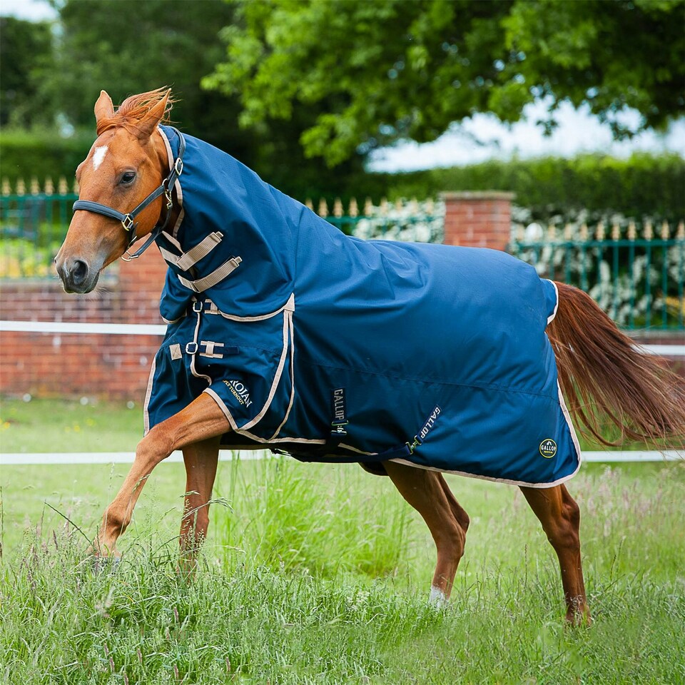 image 1 of Gallop Equestrian Trojan 100 Combo Turnout Red | Size: 4ft 9
Colour: Navy/Red