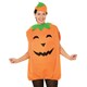 image 1 of Bristol Novelty Womens/Ladies Pumpkin Costume - Orange/Green/Black - 10 UK - 14 UK One Size