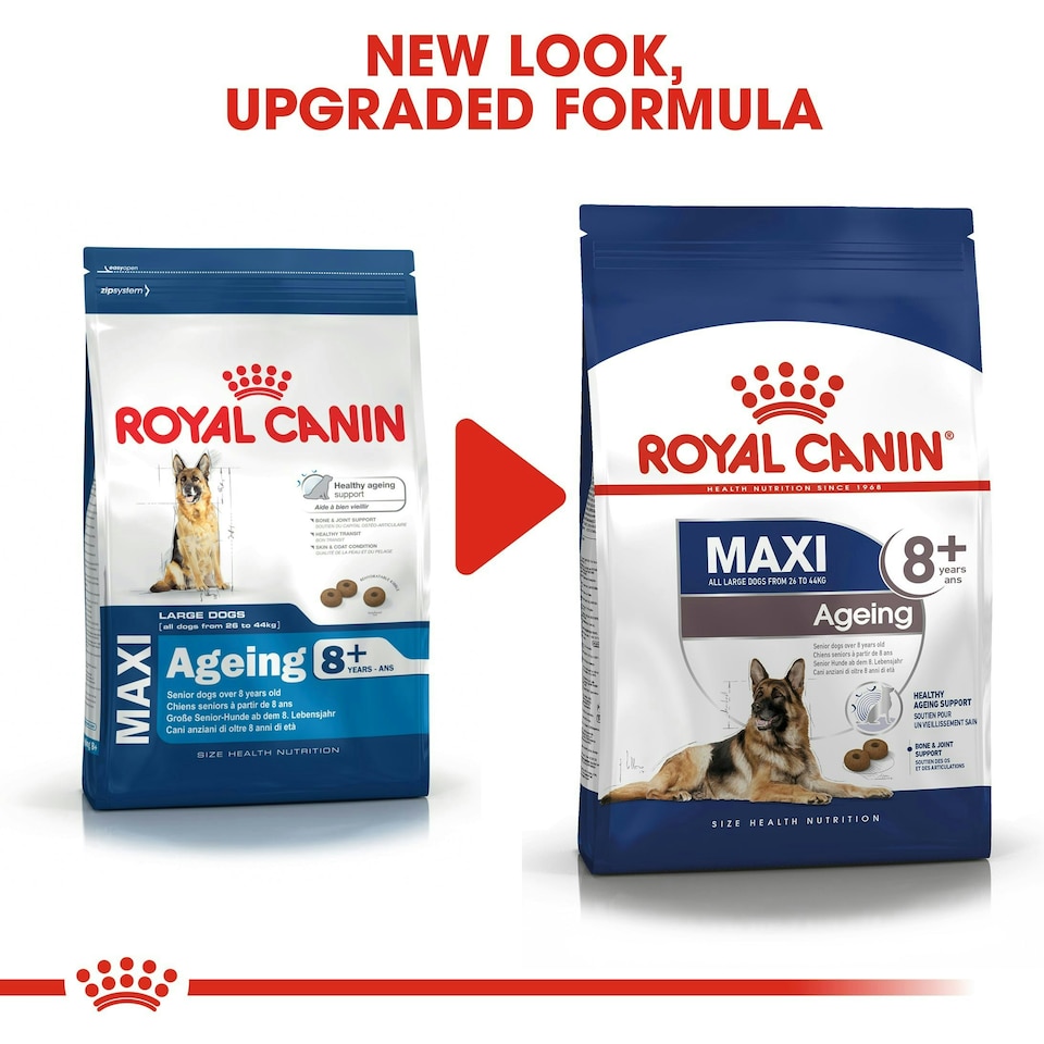 image 1 of ROYAL CANIN® Maxi Ageing 8+ Dry Dog Food