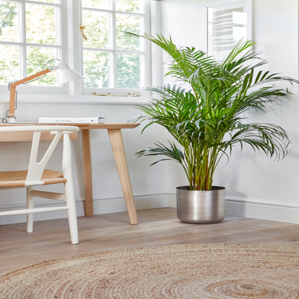 image 1 of Indoor Chelsea Planter - Mild Steel - L25 x W25 x H26 cm - Pewter | Grey