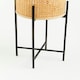 image 5 of Interiors by Premier Sturdy Large Planter, Handwoven Detailing On Small Outdoor Planters, Contemporary Planter For Flowers Cream