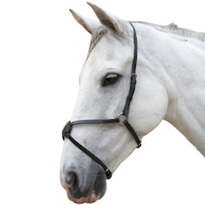 Hy Leather Mexican Grackle Nose Band - Black - Cob