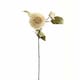 image 1 of Dahlia Stem Artificial Plant - Plastic - L28 x W28 x H62 cm - White