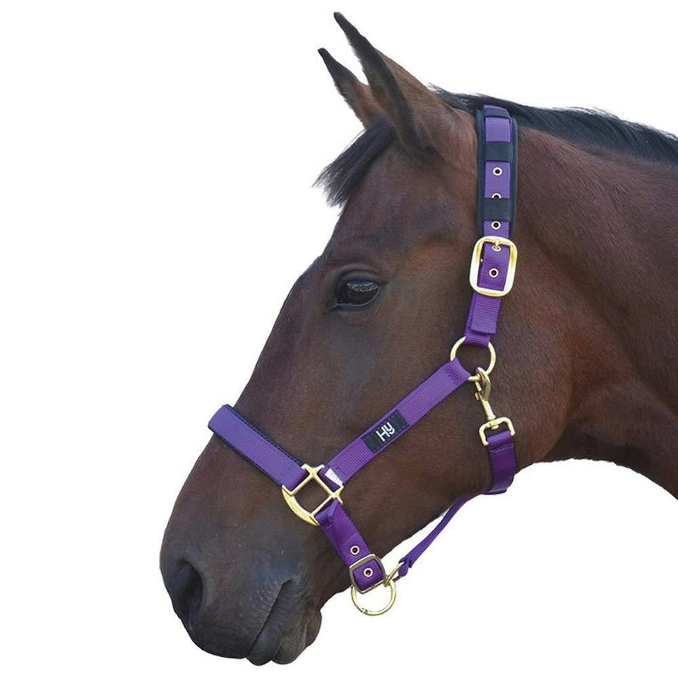 Hy Deluxe Padded Head Collar - Purple - Full