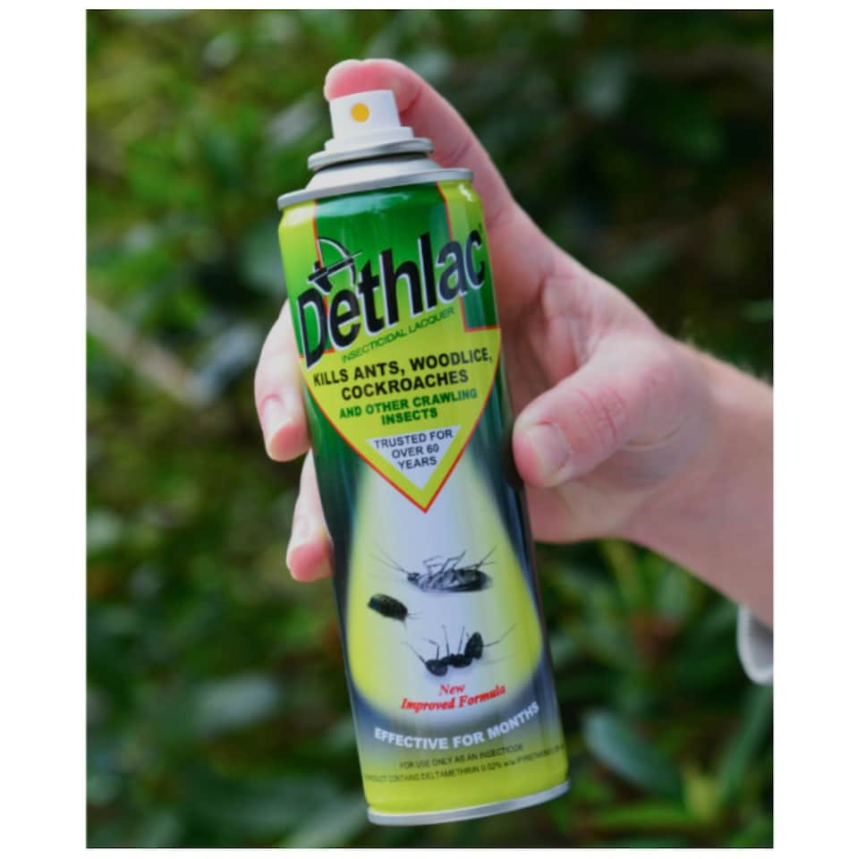 image 1 of Dethlac Insecticidal Lacquer Spray 250ml