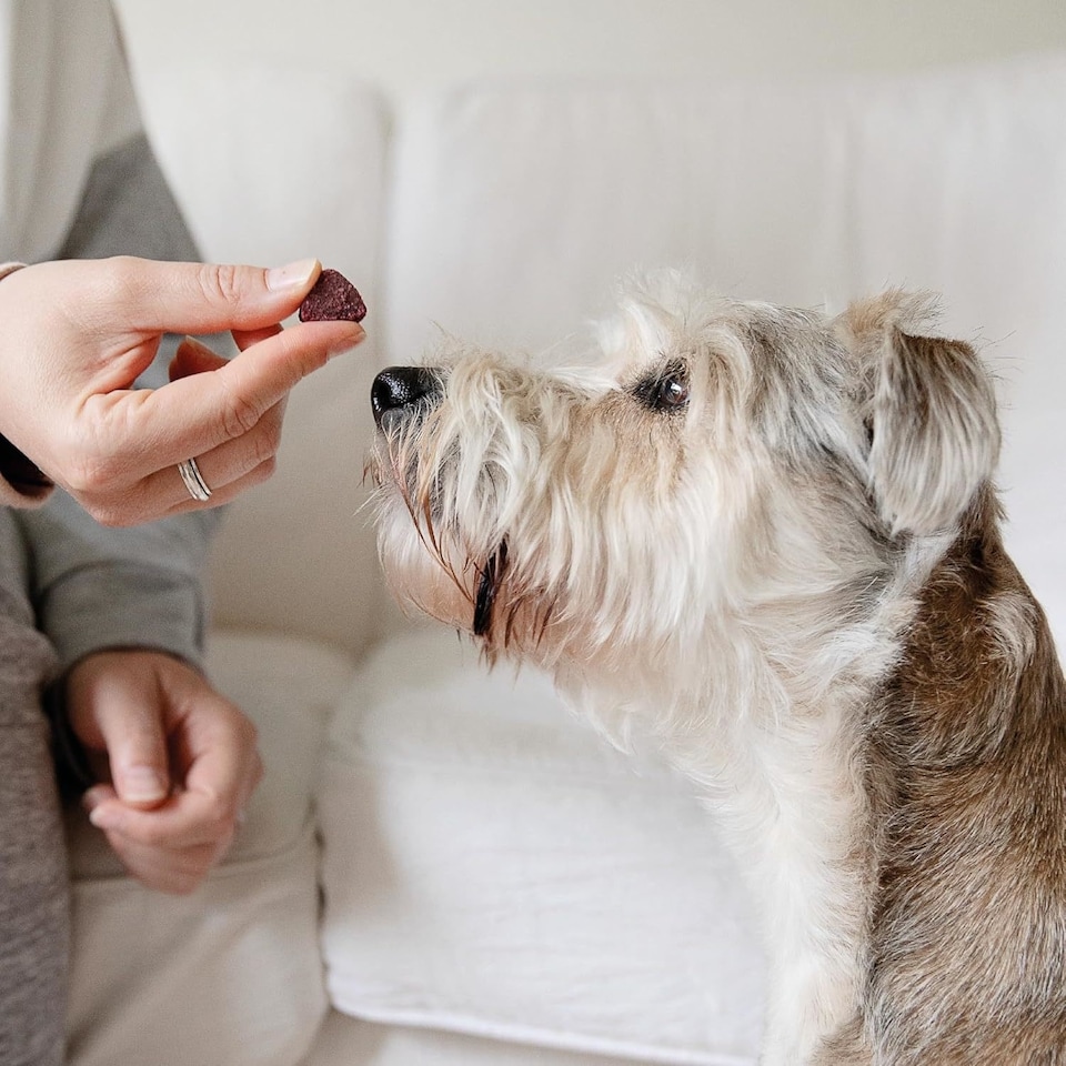 image 1 of 10 x 80g Tails.com Inner Vitality Superfood Bites Dog Treats Pouches - Salmon