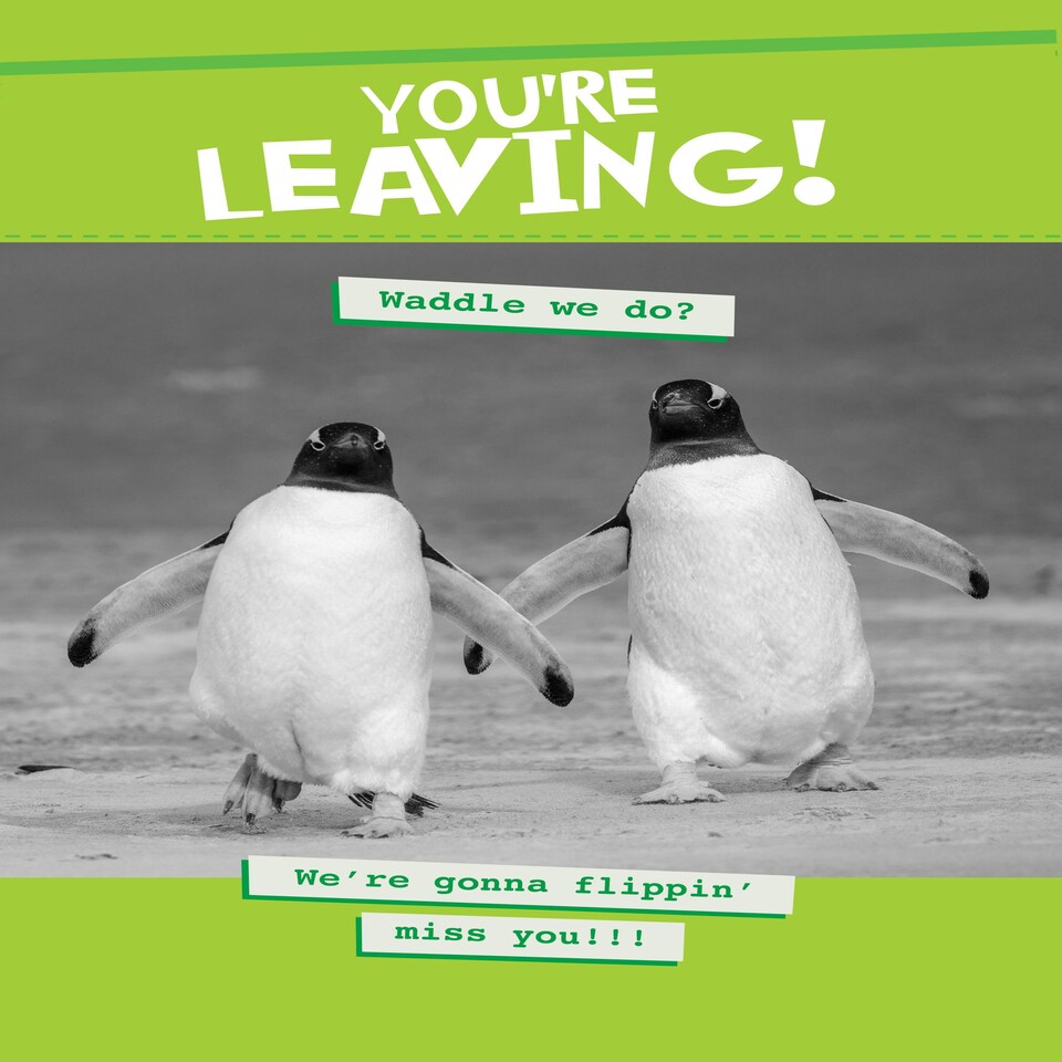 image 1 of We're Gonna Flippin' Miss You! - Funny Penguin Leaving Card