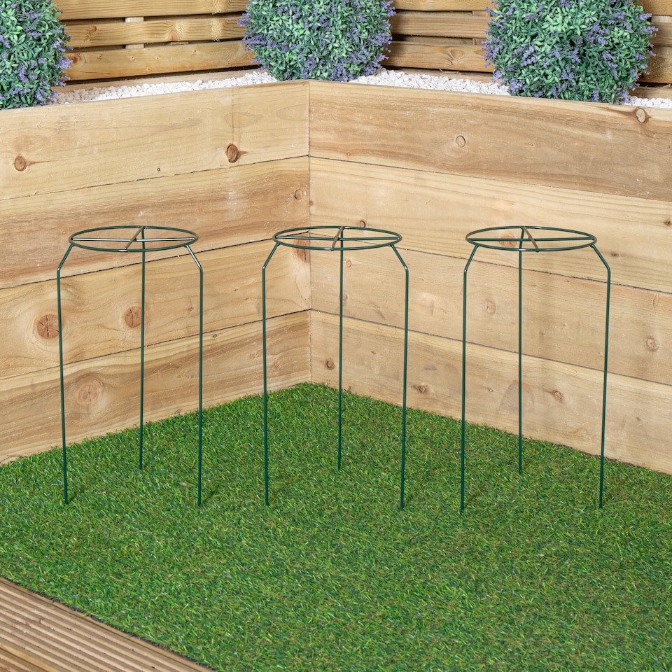 image 1 of Pack of 3 Tom Chambers Urban Dark Green Metal Herbaceous Garden Plant Support Grow Through Small 40cm x 20cm
