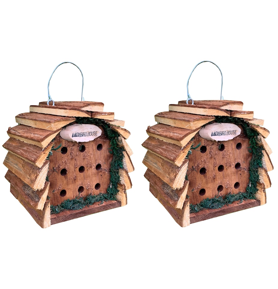 image 1 of Wooden Hanging Ladybird House Garden Bug Habitat - Pack of 2