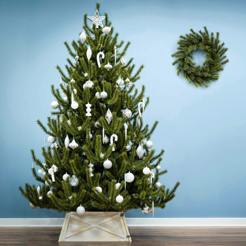 image 1 of Christmas Tree World  8ft/240cm Matterhorn Pine Christmas Tree
