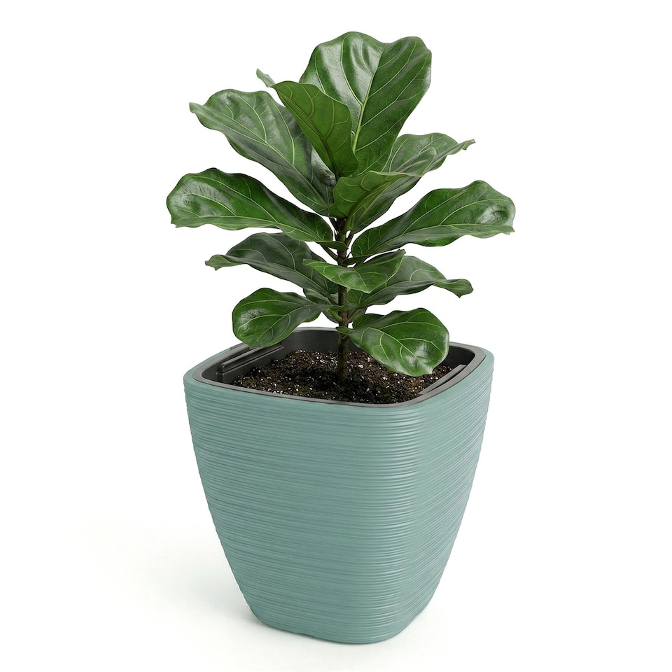 GEEZY Vena Square Plant Pot 29cm Plastic With Removable Insert
