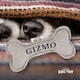 image 2 of History & Heraldry Pre-Personalised Squeaky Bone Dog Toy - Gizmo