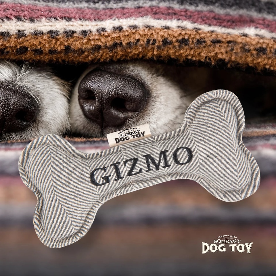 image 1 of History & Heraldry Pre-Personalised Squeaky Bone Dog Toy - Gizmo