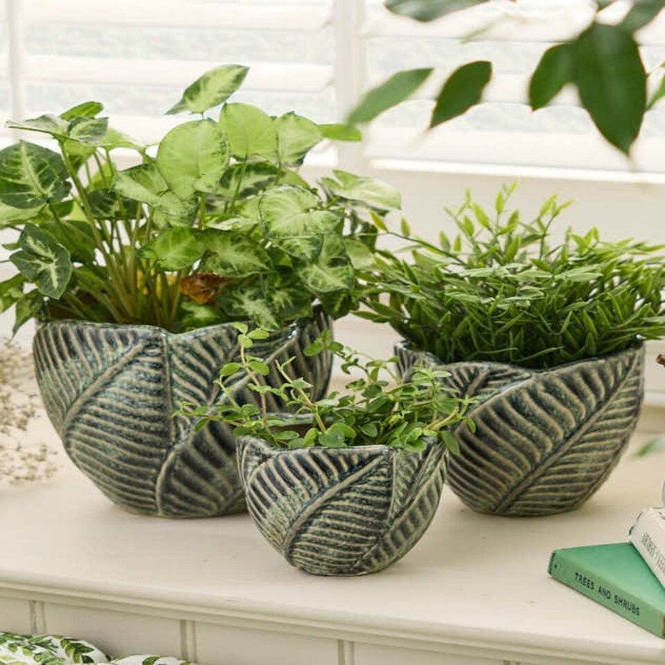 image 1 of Set of 3 Botanic Indoor Planters Green